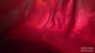 Sashacurves – 24Hrs Inside Your Sister